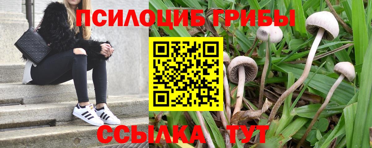 Псилоцибиновые грибы мухоморы Сыктывкар