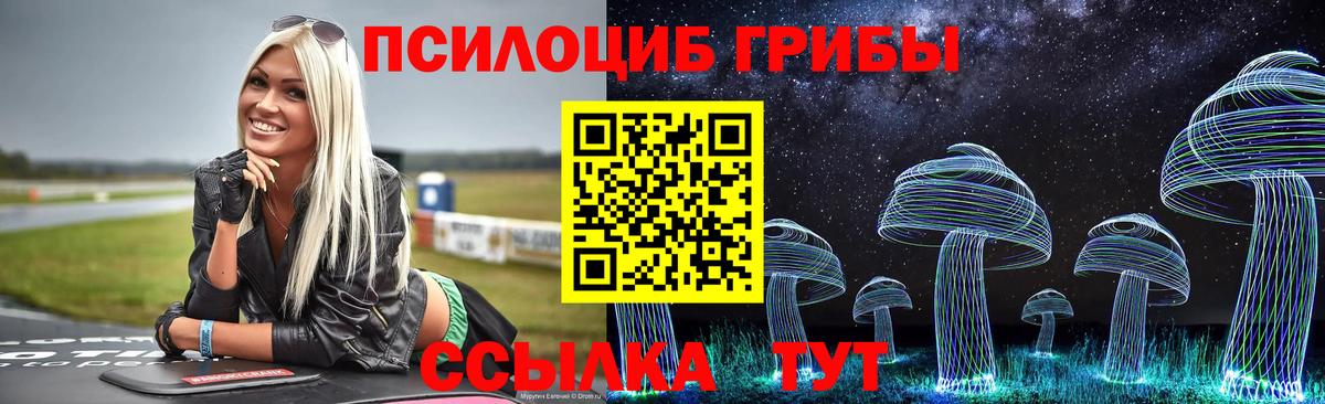 Сыктывкар  Галлюциногенные грибы ЛСД  Вход с VPN 